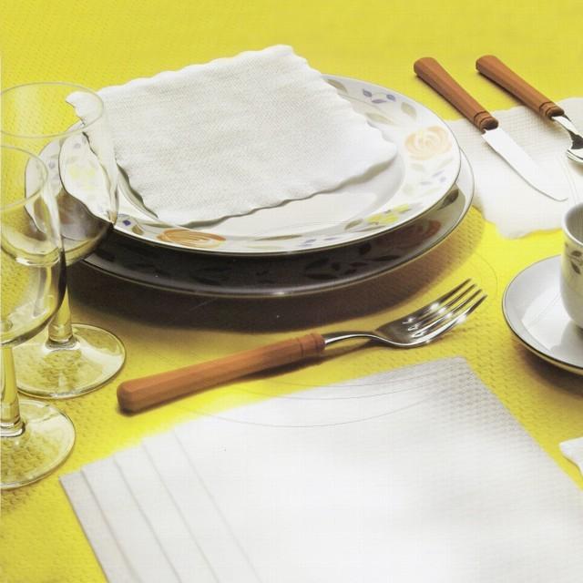 obrusky-2-vrstve-24-x-24-cm-biele-250-ks-4